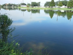 Bayou St John